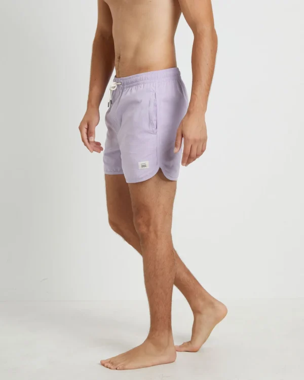 New ARVUST Avalon Volley Boardshorts In Lavender