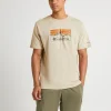 Clearance COLUMBIA Csc Seasonal Logo Tee Ancient Fossil