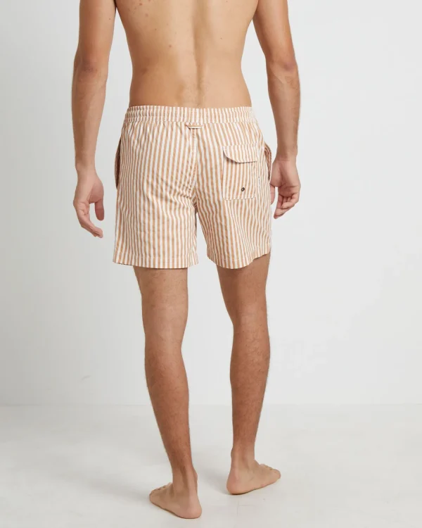 Cheap ARVUST Dover Volley Boardshorts In Rust