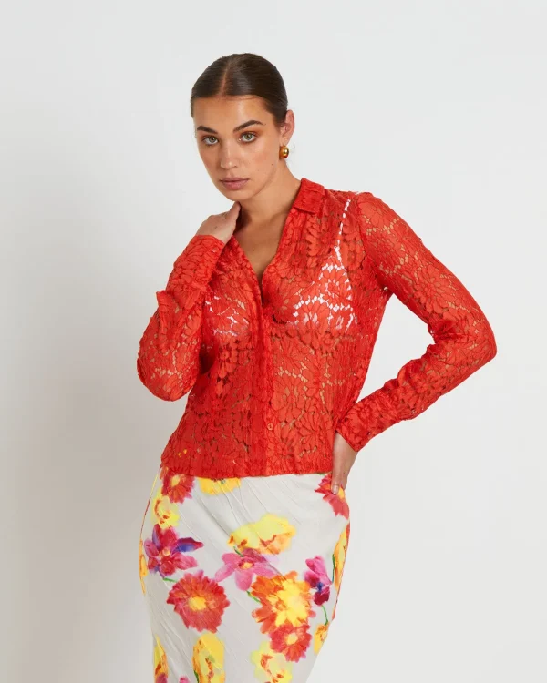 New STUDIO Pip Sheer Lace Long Sleeve Shirt