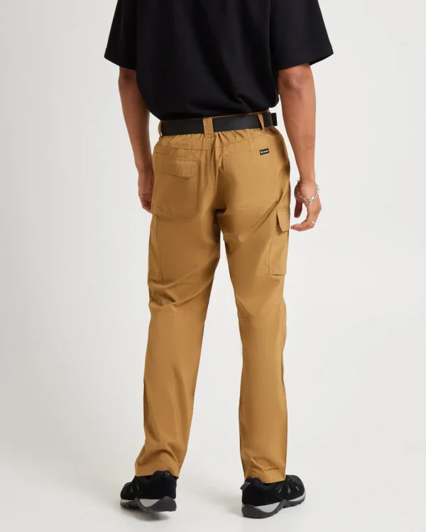 Best COLUMBIA Silver Ridge Utility Pant Brown
